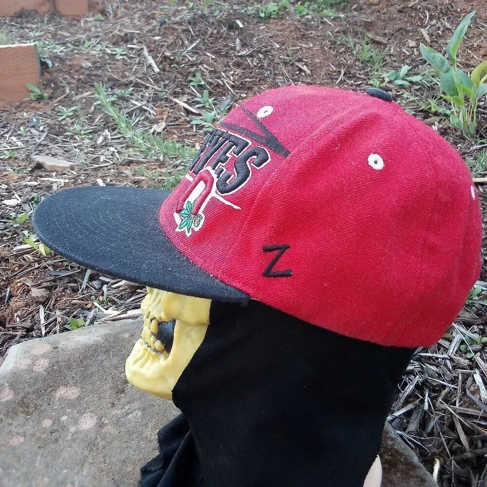 Vintage Y2K Zephyr Ohio State Buckeyes Snap Back Hat Cap
